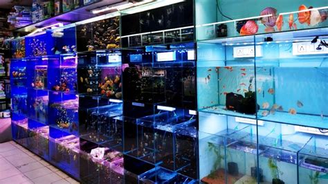 aakar aquarium